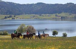 reiten-schwyz