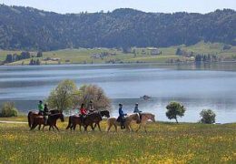 reiten-schwyz