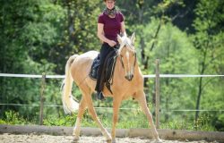 reiten-schwyz