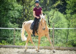 reiten-schwyz