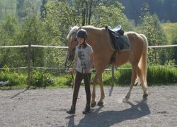 reitkurse-schwyz