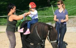 reiten-schwyz