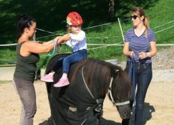 reiten-schwyz