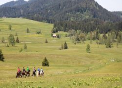 reiten-schwyz