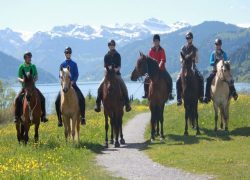 reiten-schwyz