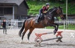 reiten-solothurn