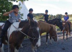 reiten-solothurn