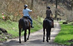 reiten-solothurn