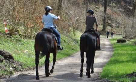 reiten-solothurn
