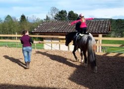reiten-solothurn