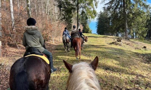 reiten-solothurn
