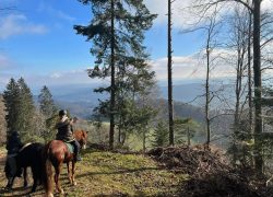 reiten-solothurn