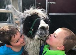 reiten-solothurn