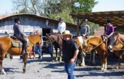 reiten-solothurn