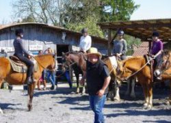 reiten-solothurn