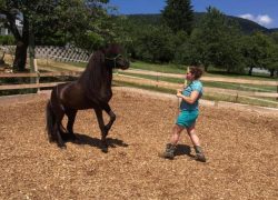 reiten-solothurn