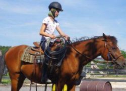 reiten-solothurn