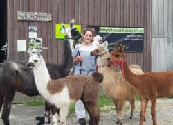 reiten-solothurn