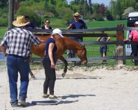 reiten-solothurn