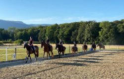 reiten-solothurn-long