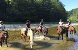 reiten-st.gallen