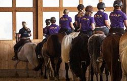 reiten-st.gallen