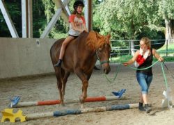 reiten-st.gallen