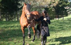 reiten-st.gallen