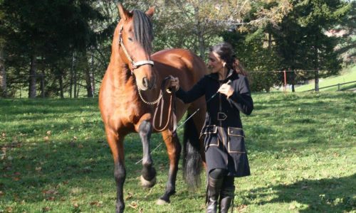reiten-st.gallen