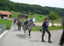 ponyreiten-st.gallen