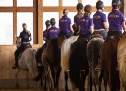 reiten-st.gallen