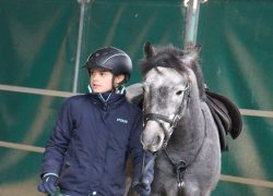 ponyreiten-st.gallen