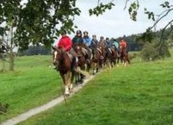 reiten-st.gallen