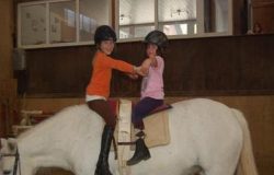 reiten-st.gallen