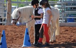reiten-st.gallen