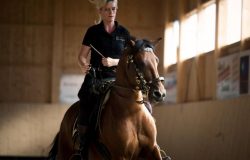 reiten-st.gallen