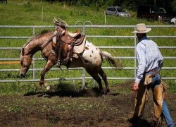 reiten-tessin