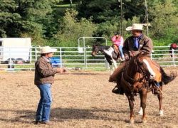 reiten-tessin