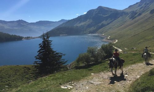 reiten-tessin