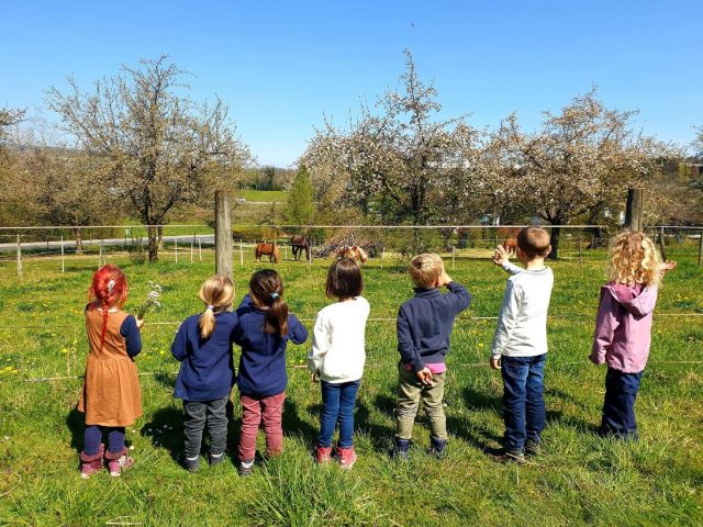 reiten-thurgau