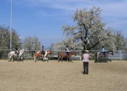 reiten-thurgau