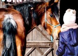 reiten-thurgau-6