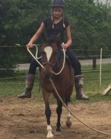 reiten-thurgau-8