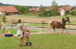 reitpädagogik-thurgau