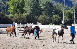 reiten-thusis