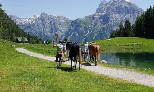 reiten-uri