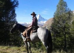 reiten-wallis