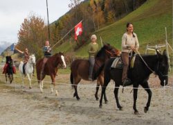 reiten-wallis