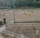 reiten-winterthur