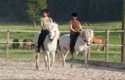 reiten-zürich